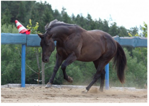Snímek obrazovky pořízený 2015-05-27 10:56:34  